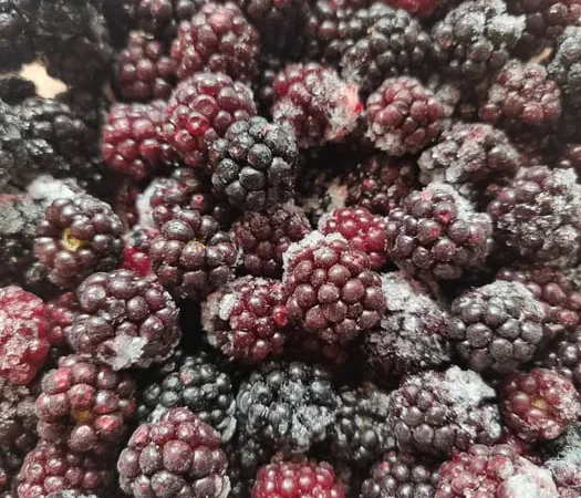 Заморожені ягоди: порічка, малина, ожина - фото № 1