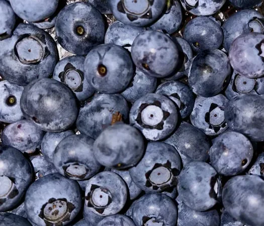 Замороженные ягоды голубики и малины - фото № 1