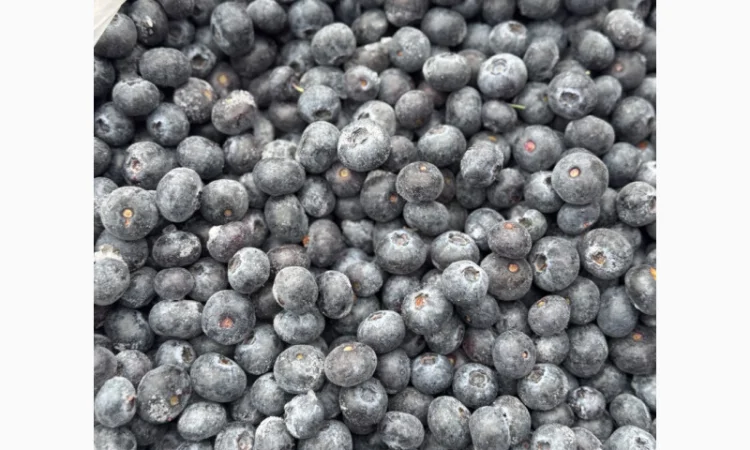 Лохина заморожена - фото № 1