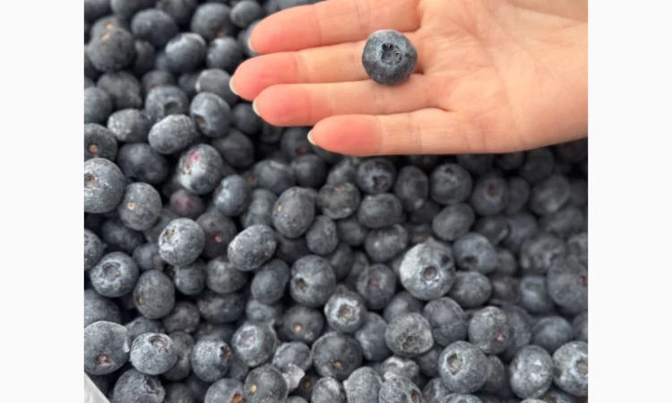 Лохина заморожена - фото № 2