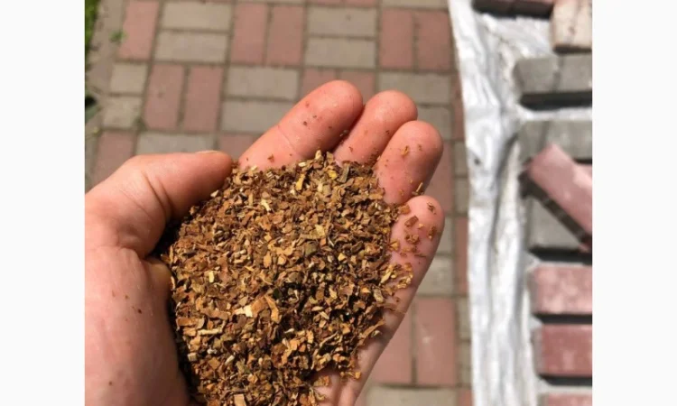 Тютюн Гавана, Давідофф, КапБлек та інші сорти у продажу - фото № 2