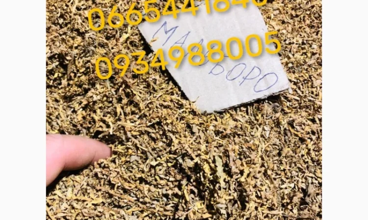 Табак Мальбро, Голд, Руно, Ксанті, Вінстон, Кемел, Берлі, Вірджинія и другие - фото № 9