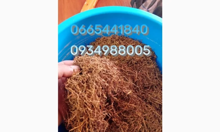 Табак Мальбро, Голд, Руно, Ксанті, Вінстон, Кемел, Берлі, Вірджинія и другие - фото № 17