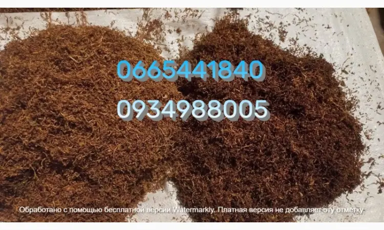 Продажа табака - Мальбро Голд Руно Ксанти Винстон Кемел Берли Вирджиния Махорка Гильзы Трубки - фото № 3