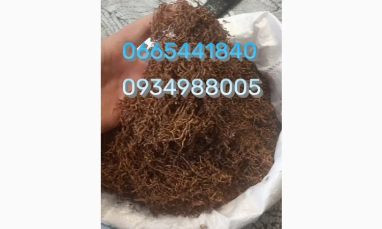 Табак Мальбро, Голд, Руно, Ксанті, Вінстон, Кемел, Берлі, Вірджинія и другие - фото № 15