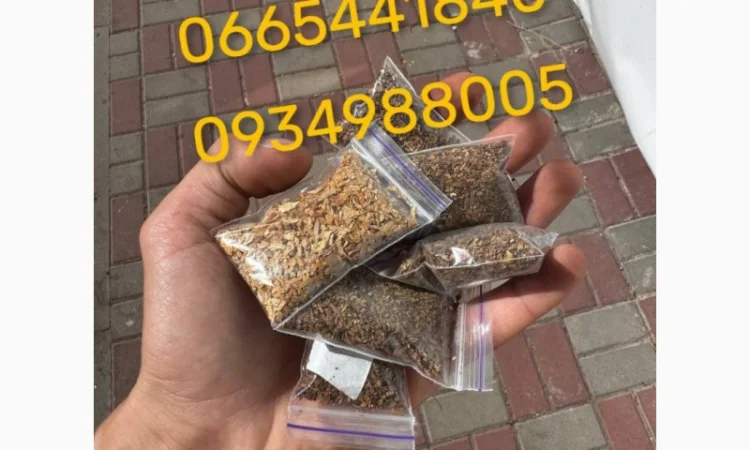 Табак Мальбро, Голд, Руно, Ксанті, Вінстон, Кемел, Берлі, Вірджинія и другие - фото № 13