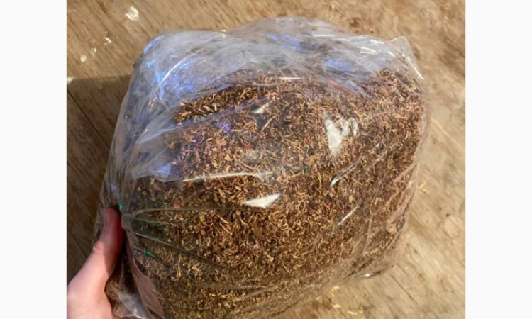 Свежий Табак Вирджиния в продаже - фото № 7