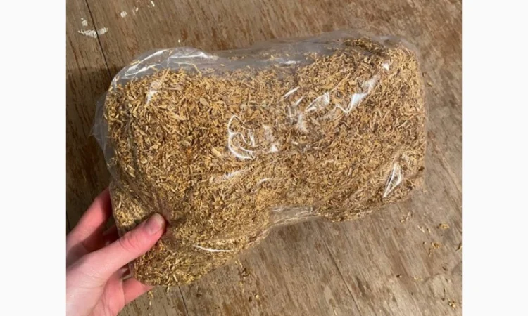 Свежий Табак Вирджиния в продаже - фото № 2