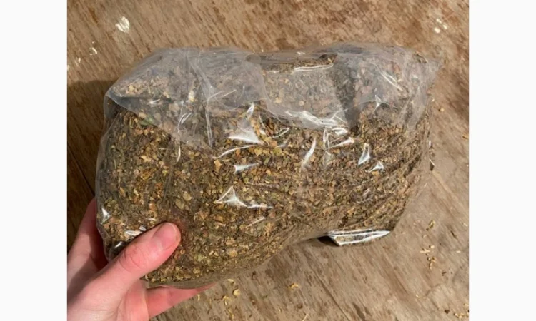 Свежий Табак Вирджиния в продаже - фото № 3