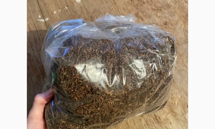 Свежий Табак Вирджиния в продаже - фото № 5