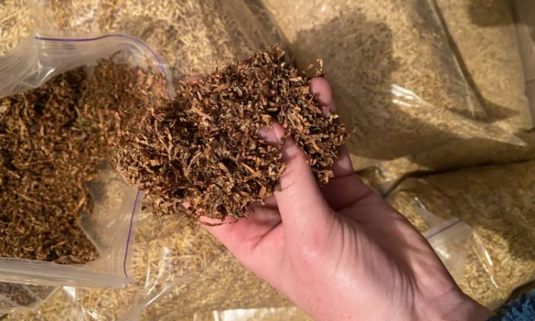 Тютюн Вірджинія – классика для гурманів - фото № 5