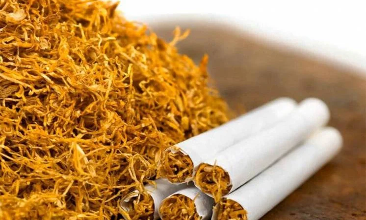 Табак без жилки та пили. Найкращі сорти: Вірджинія, Кентуккі, Берлі, Ротманс, Міленіум - фото № 1