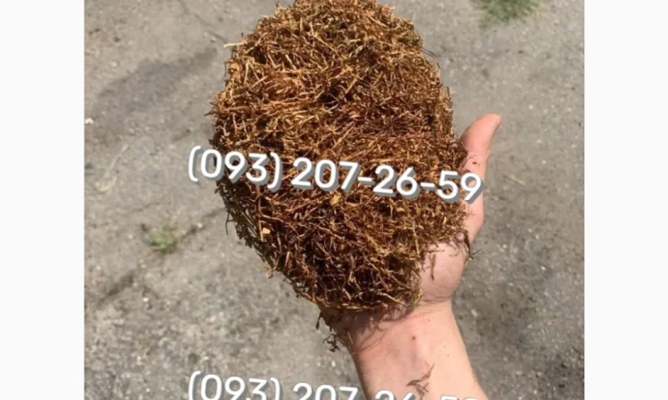 Якісний тютюн Берлі – ваш надійний вибір - фото № 19