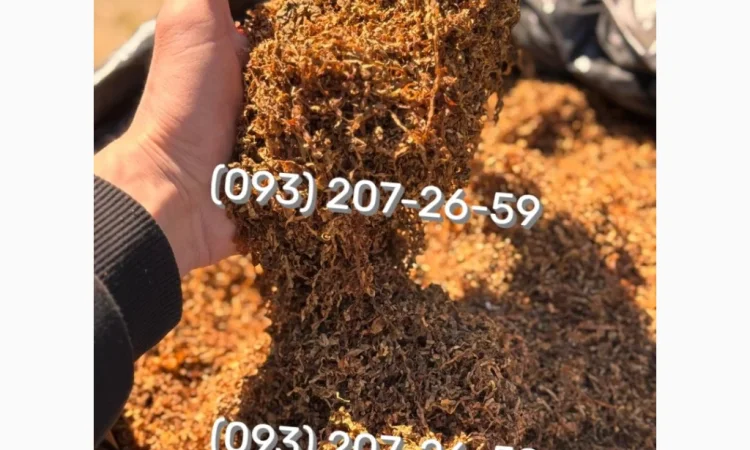 Якісний тютюн Берлі – ваш надійний вибір - фото № 14