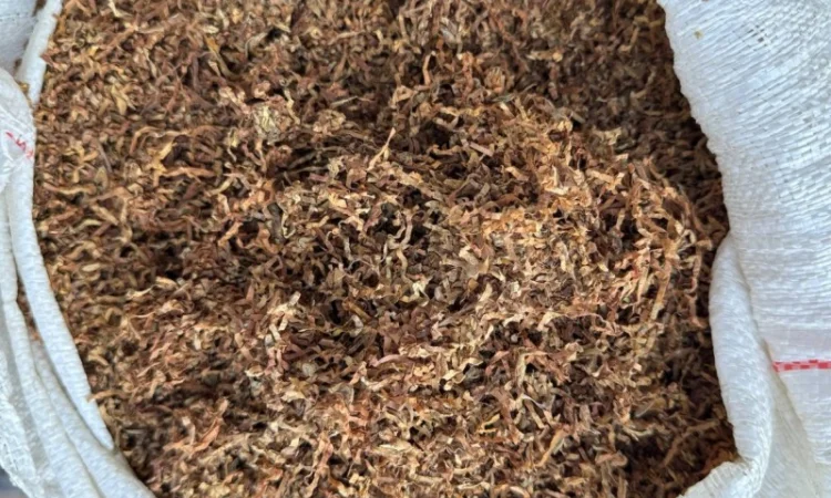 Тютюн Вірджинія та Кентуккі. Аксесуари у продажу - фото № 4