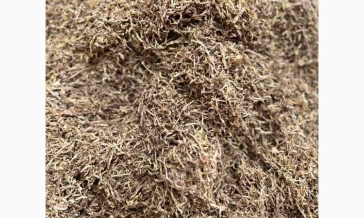 Свіжий тютюн Міленіум - фото № 5