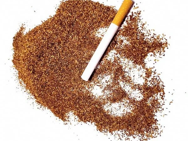 Табачные изделия качественные - фото № 12