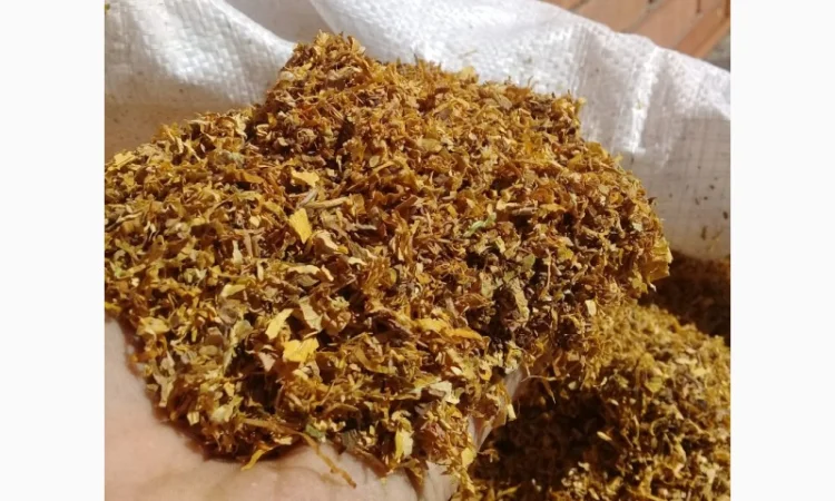 Табачные изделия качественные - фото № 13