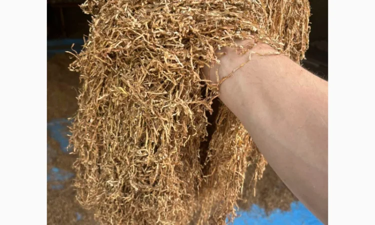 Импорт табака высокого качества - фото № 5