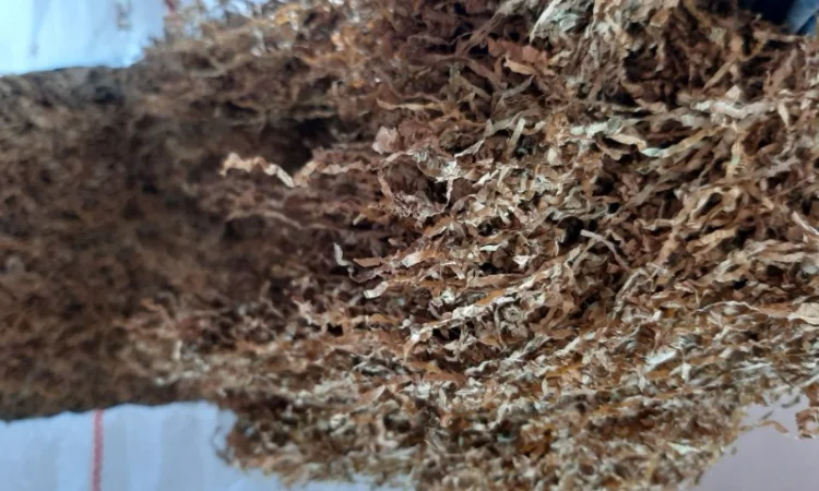 Сухий табак різних сортів високої якості - фото № 2