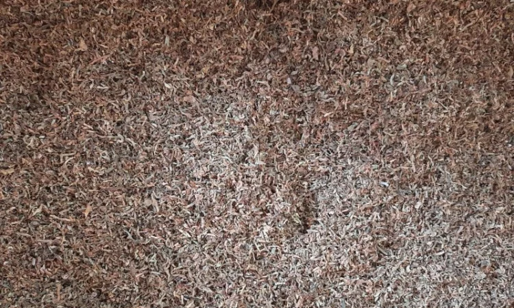 Сухий табак різних сортів високої якості - фото № 5