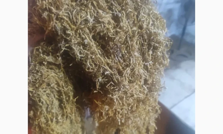 Продажа табака высокого качества - фото № 3