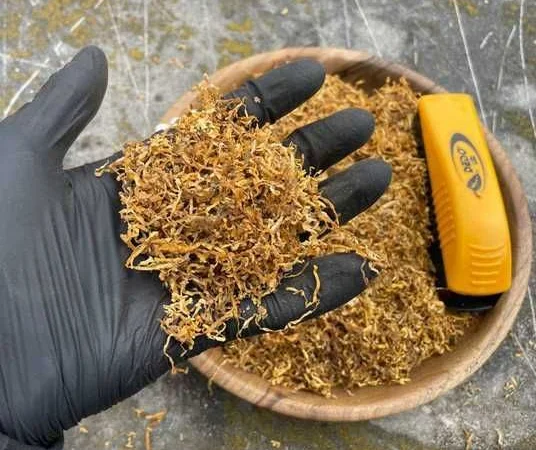 Запашний та чистий тютюн | Вірджинія | Кентуккі | Берлі | Ротманс | Міленіум - фото № 3