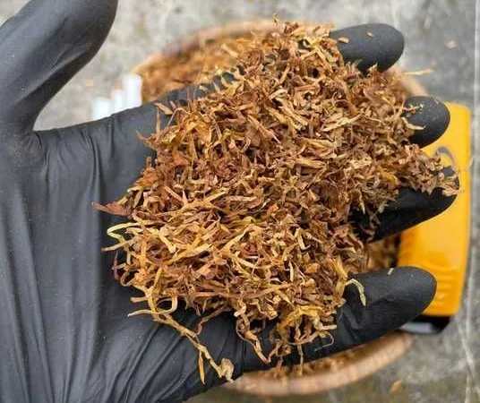 Запашний та чистий тютюн | Вірджинія | Кентуккі | Берлі | Ротманс | Міленіум - фото № 4