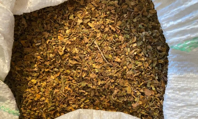 Гладкий тютюн для самокруток - фото № 4