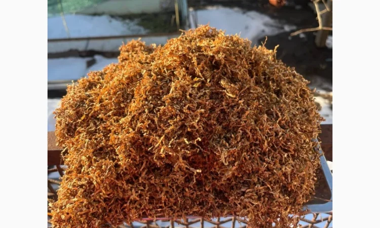 Табак разных брендов в продаже - фото № 2