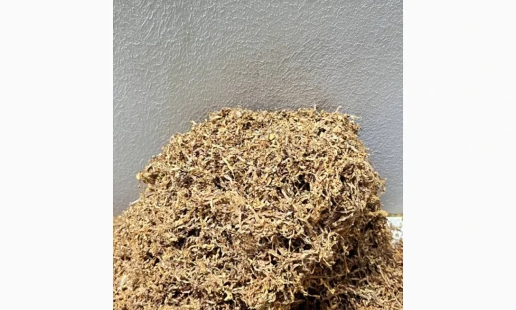 Табак разных брендов в продаже - фото № 3