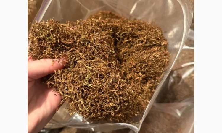 Табак: Burley, Virginia, Davidoff и Millennium - фото № 1