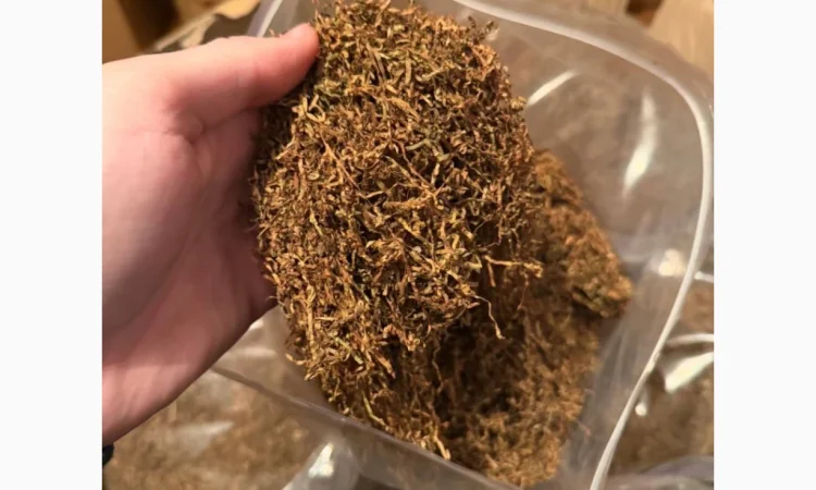 Табак: Burley, Virginia, Davidoff и Millennium - фото № 2