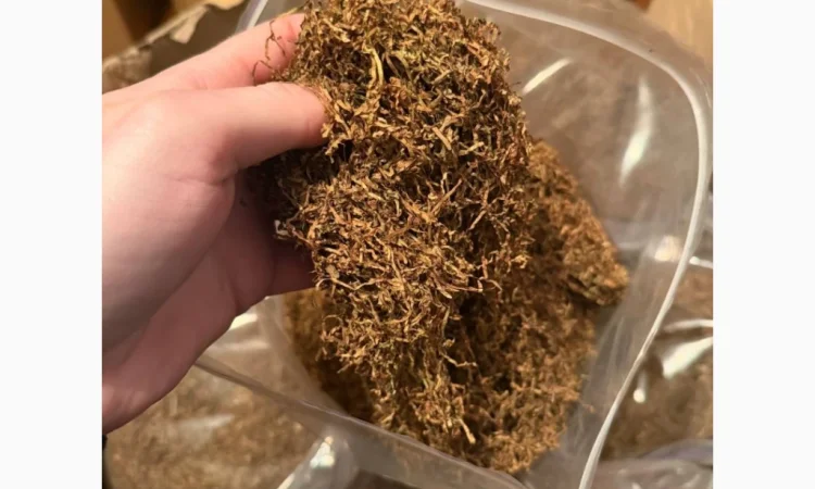 Табак: Burley, Virginia, Davidoff и Millennium - фото № 4