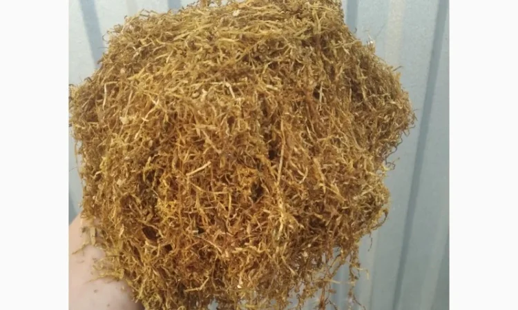 Якісний тютюн Вірджинія у продажу - фото № 4