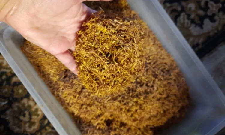 Оптовая и розничная продажа табака Вірджинія Берлі - фото № 6