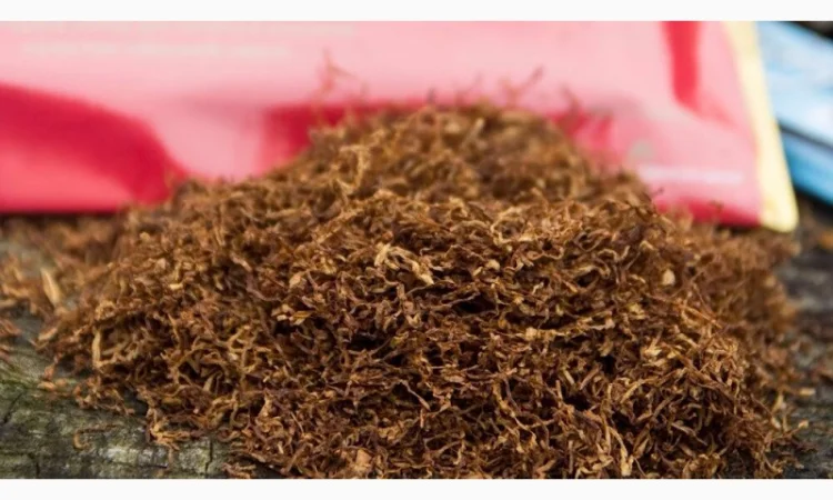 Самосад (Махорка) по низкой цене - фото № 9