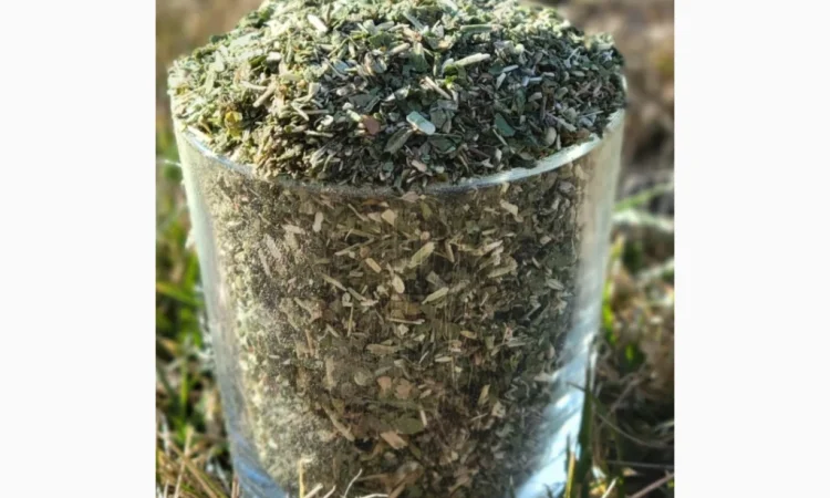 Самосад - фото № 1