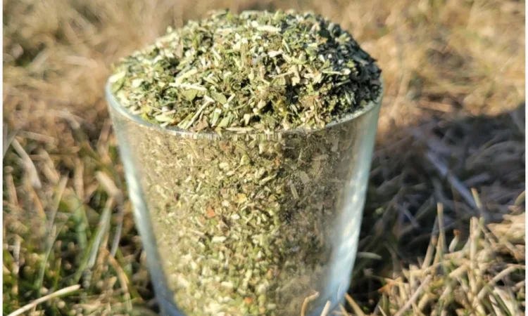 Якісна махорка за доступною ціною - фото № 1