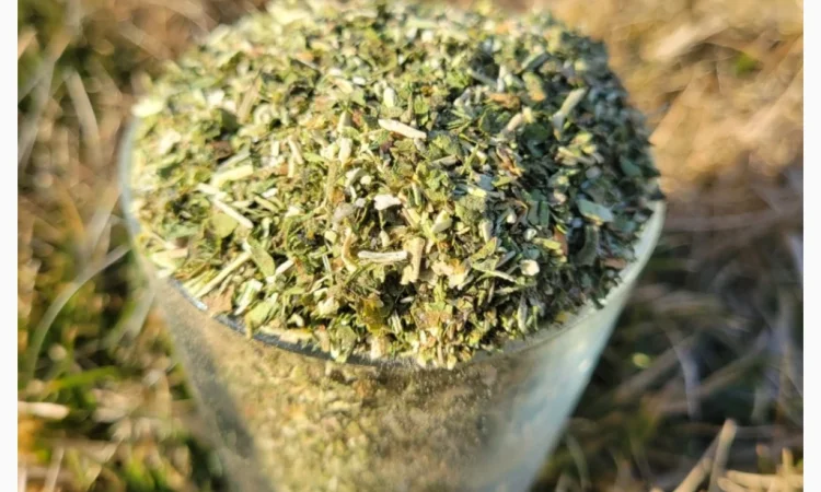 Продажа самосада - махорка - фото № 1