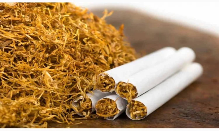 Продаж якісного тютюну різних сортів - фото № 1