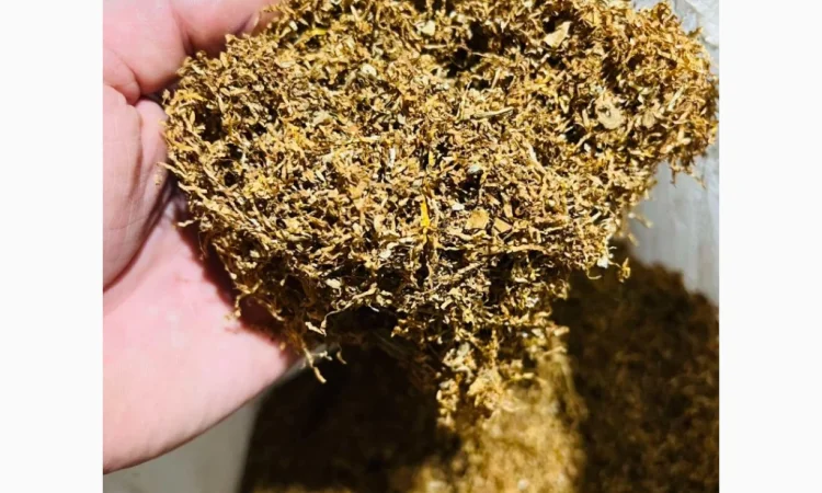 Тютюн Вірджинія Голд та інші сорти у продажу - фото № 2