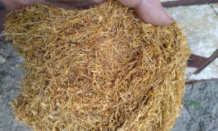 Табак Вирджиния Голд средней крепости - фото № 1