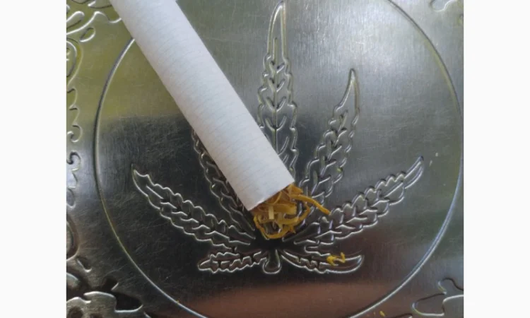 Продается табак Вирджиния Голд средней крепости - фото № 1