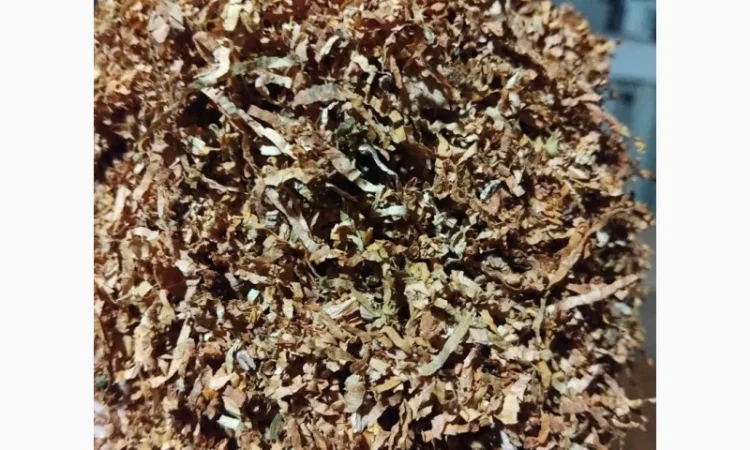 Табак ПАРЛАМЕНТ и аксессуары в продаже - фото № 3