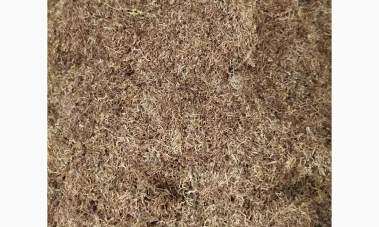 Табак ферментированный в мешках, крепость 5 - фото № 3