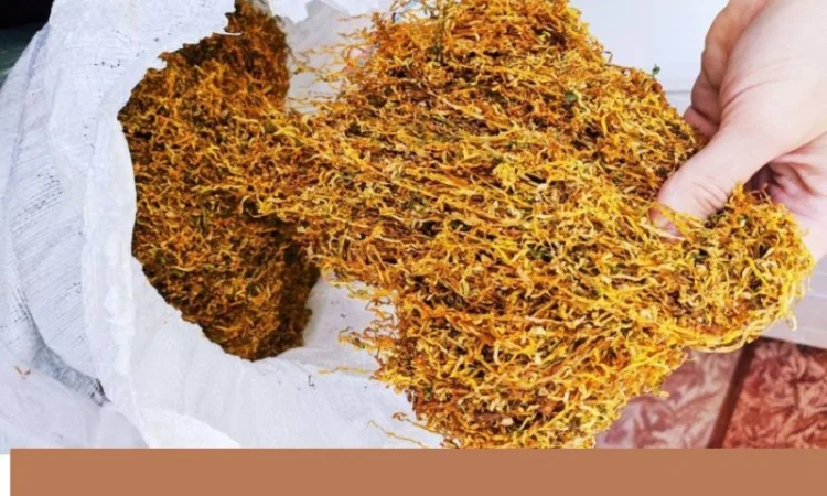 Табак Вирджиния и Золотое руно – домашний, без добавок - фото № 1