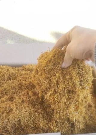 Табак Вирджиния - качественный, без химии, 700 грн за кг - фото № 1