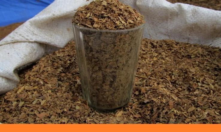 Табак для курящих - домашние сорта ХЛОПЯ в продаже - фото № 1