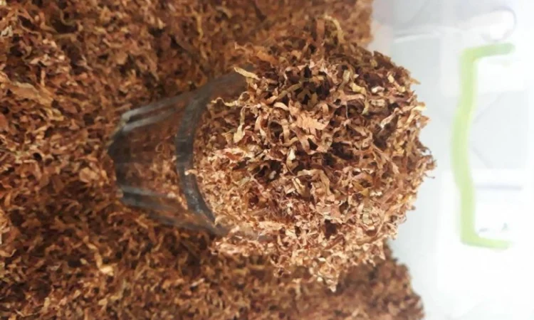 Табак для курящих - домашние сорта ХЛОПЯ в продаже - фото № 2